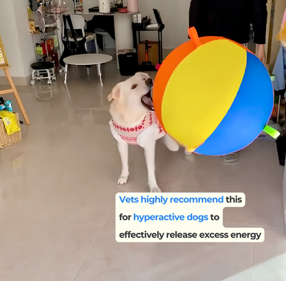 Calming Jumbo Ball