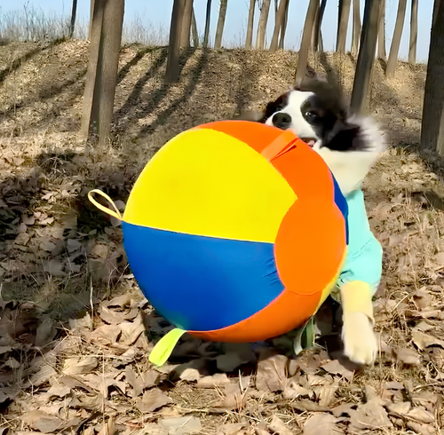 Calming Jumbo Ball