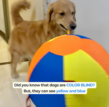 Calming Jumbo Ball