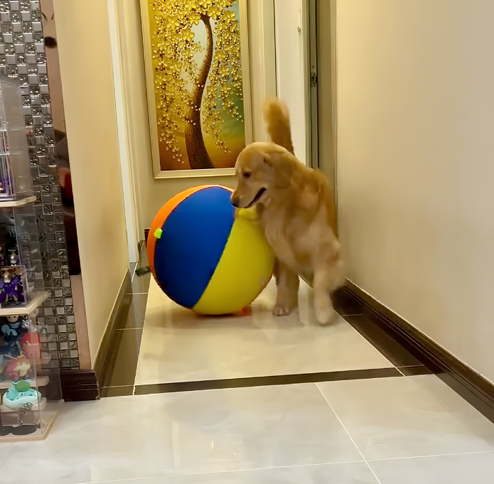 Calming Jumbo Ball