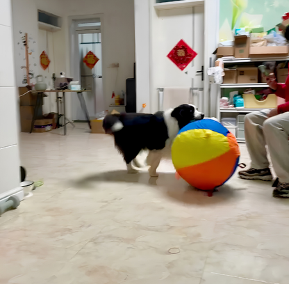 Calming Jumbo Ball
